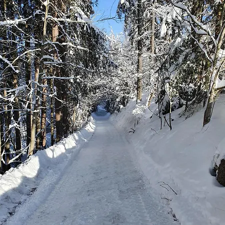 Residenz Am - 1 Und 3 *