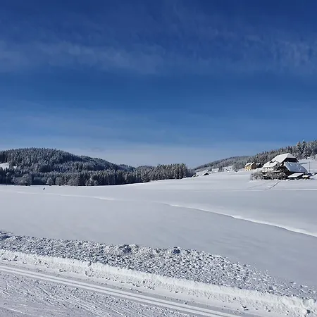 Residenz Am - 1 Und 3 * Titisee-Neustadt