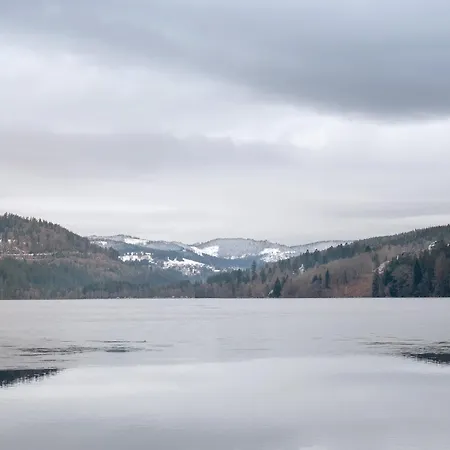 Residenz Am - 1 Und 3 * Titisee-Neustadt