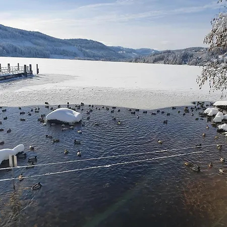 Residenz Am - 1 Und 3 Apartamento Titisee-Neustadt