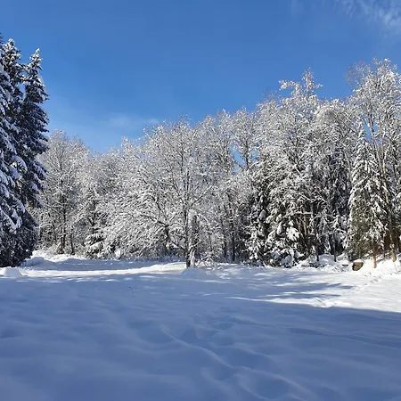 Residenz Am - 1 Und 3 Apartamento *