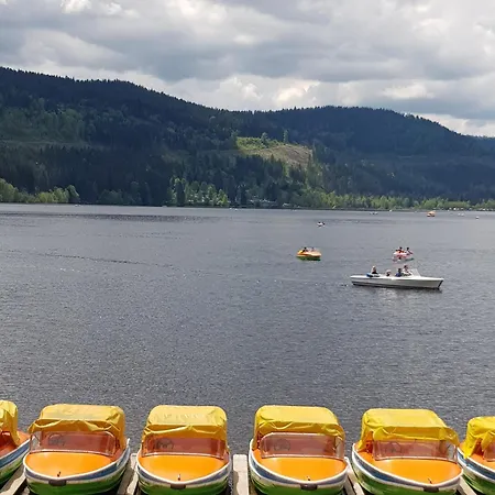 Residenz Am - 1 Und 3 Apartamento Titisee-Neustadt